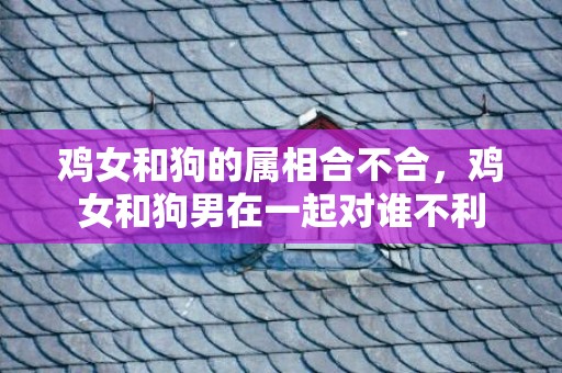 鸡女和狗的属相合不合，鸡女和狗男在一起对谁不利