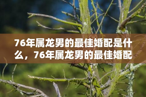 76年属龙男的最佳婚配是什么，76年属龙男的最佳婚配是