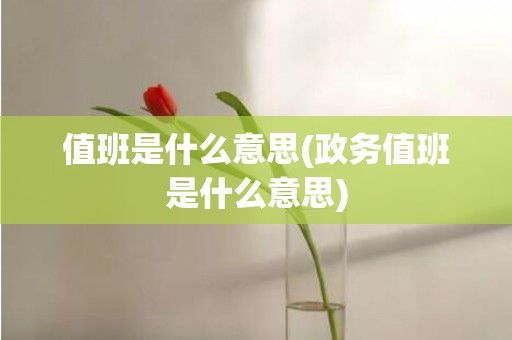 值班是什么意思(政务值班是什么意思)