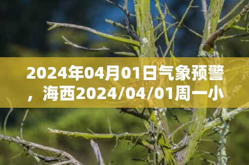 2024年04月01日气象预警，海西2024/04/01周一小雨最高温度14度