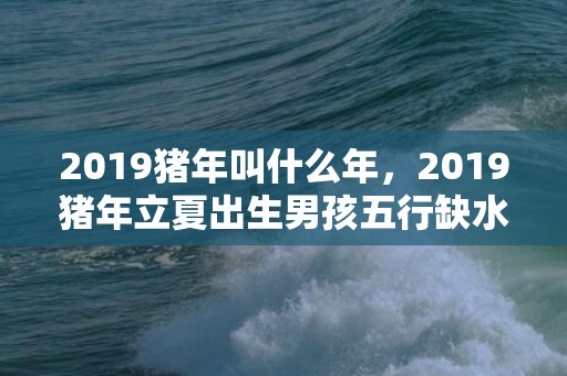 2019猪年叫什么年，2019猪年立夏出生男孩五行缺水要怎么起名