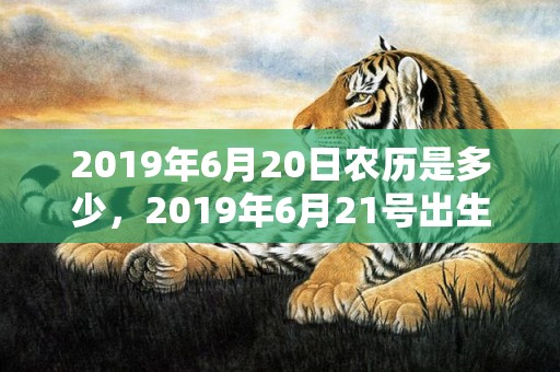 2019年6月20日农历是多少，2019年6月21号出生的双胞胎男孩起什么名字比较好，五行属什么