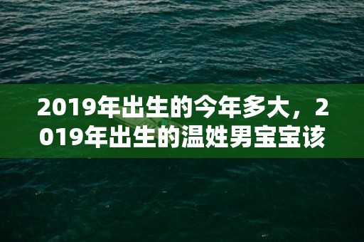 2019年出生的今年多大，2019年出生的温姓男宝宝该如何起名字，宜用什么字。