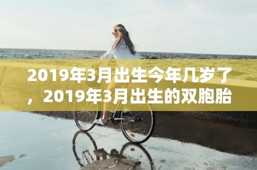 2019年3月出生今年几岁了，2019年3月出生的双胞胎男孩如何起名字，适合用什么字