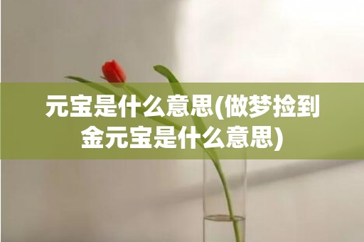 元宝是什么意思(做梦捡到金元宝是什么意思)