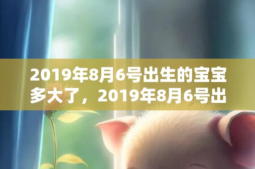 2019年8月6号出生的宝宝多大了，2019年8月6号出生的男孩起什么名字比较好，五行属什么