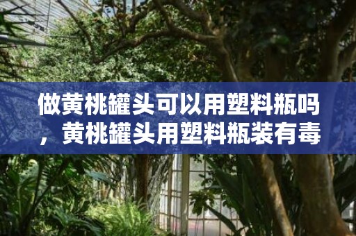 做黄桃罐头可以用塑料瓶吗，黄桃罐头用塑料瓶装有毒吗