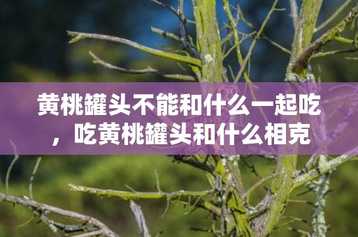 黄桃罐头不能和什么一起吃，吃黄桃罐头和什么相克