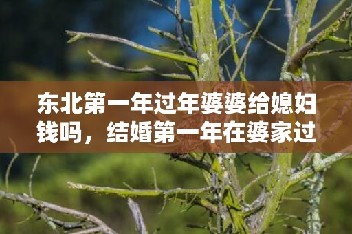 东北第一年过年婆婆给媳妇钱吗，结婚第一年在婆家过年有什么说法