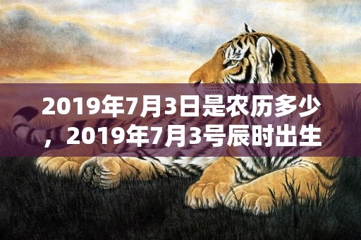 2019年7月3日是农历多少，2019年7月3号辰时出生的女孩起什么名字好，五行是什么？