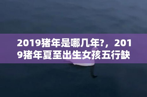 2019猪年是哪几年?，2019猪年夏至出生女孩五行缺金要怎么起名字