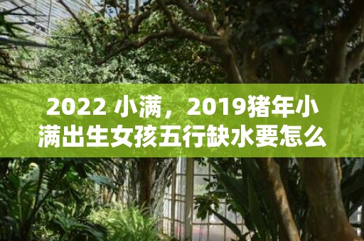 2022 小满，2019猪年小满出生女孩五行缺水要怎么起名字