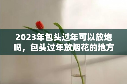 2023年包头过年可以放炮吗，包头过年放烟花的地方在哪