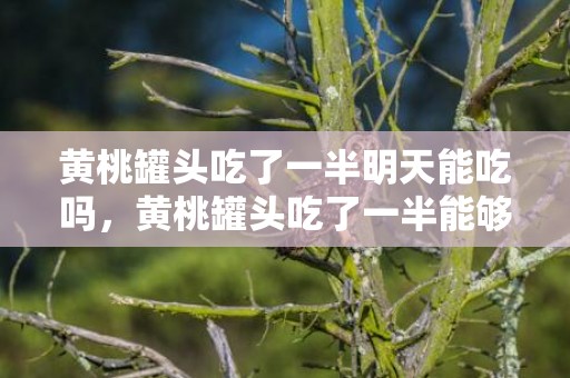 黄桃罐头吃了一半明天能吃吗，黄桃罐头吃了一半能够隔夜放吗