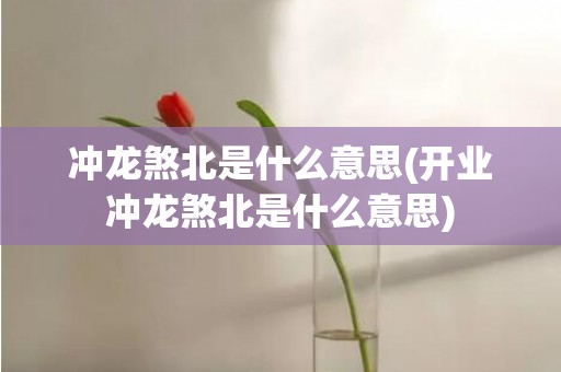 冲龙煞北是什么意思(开业冲龙煞北是什么意思)