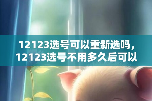 12123选号可以重新选吗，12123选号不用多久后可以再选