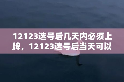 12123选号后几天内必须上牌，12123选号后当天可以上牌吗