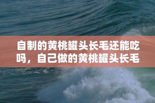 自制的黄桃罐头长毛还能吃吗，自己做的黄桃罐头长毛了怎么办