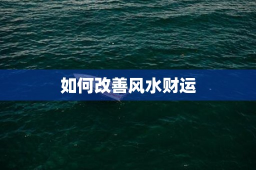 如何改善风水财运