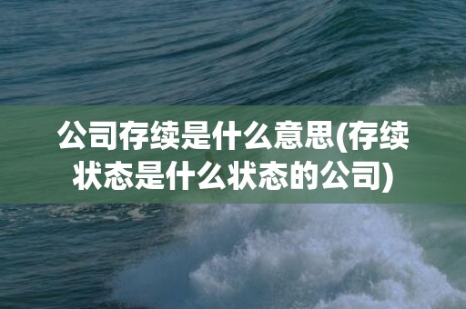 公司存续是什么意思(存续状态是什么状态的公司)