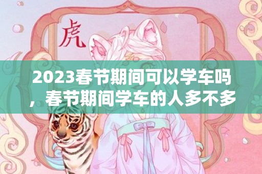 2023春节期间可以学车吗，春节期间学车的人多不多