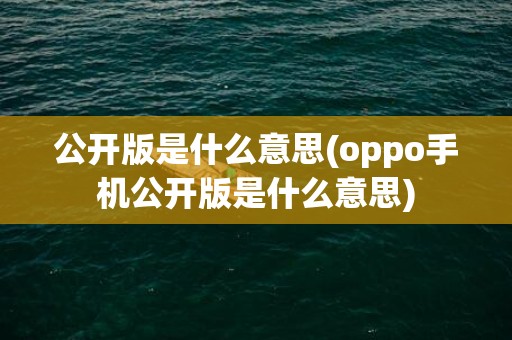 公开版是什么意思(oppo手机公开版是什么意思)