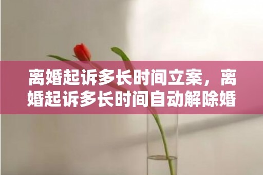 离婚起诉多长时间立案，离婚起诉多长时间自动解除婚姻？可以只起诉解除婚姻关系吗