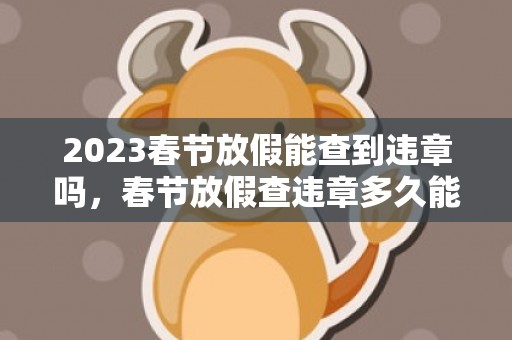 2023春节放假能查到违章吗，春节放假查违章多久能查到