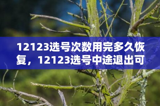 12123选号次数用完多久恢复，12123选号中途退出可以再选吗