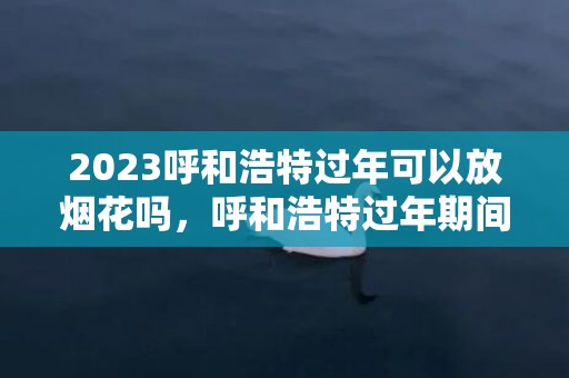 2023呼和浩特过年可以放烟花吗，呼和浩特过年期间哪里能放烟花爆竹