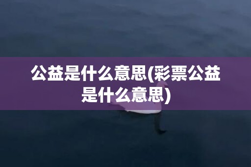 公益是什么意思(彩票公益是什么意思)