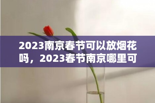 2023南京春节可以放烟花吗，2023春节南京哪里可以放烟花