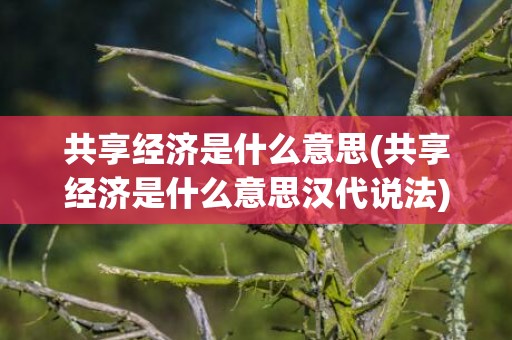 共享经济是什么意思(共享经济是什么意思汉代说法)