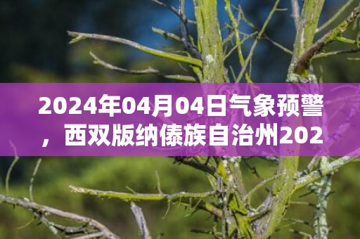 2024年04月04日气象预警，西双版纳傣族自治州2024/04/04周四晴最高温度37度