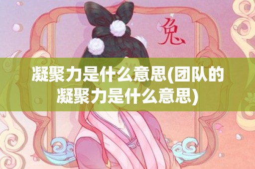 凝聚力是什么意思(团队的凝聚力是什么意思)