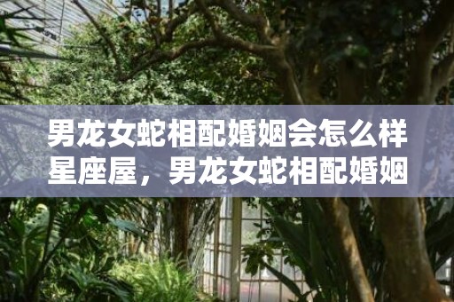 男龙女蛇相配婚姻会怎么样星座屋，男龙女蛇相配婚姻会怎么样