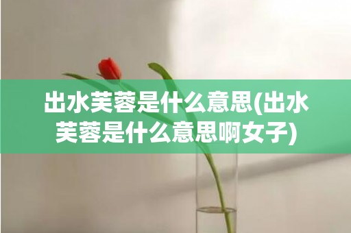 出水芙蓉是什么意思(出水芙蓉是什么意思啊女子)