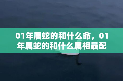 01年属蛇的和什么命，01年属蛇的和什么属相最配