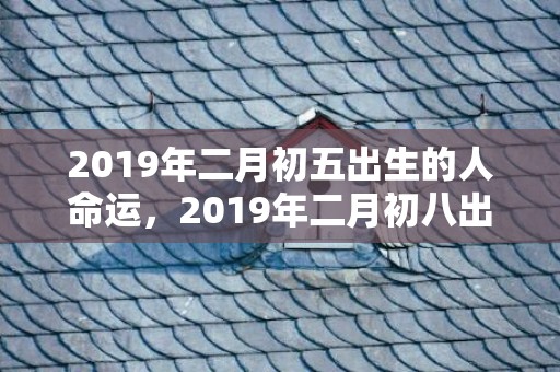 2019年二月初五出生的人命运，2019年二月初八出生的双胞胎女孩怎么样起名字