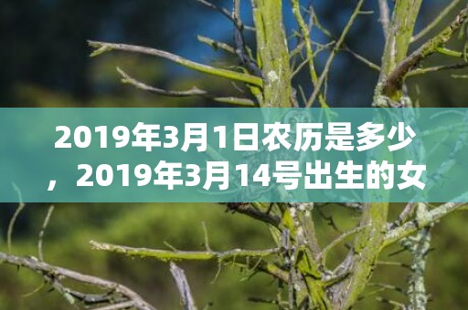 2019年3月1日农历是多少，2019年3月14号出生的女宝宝五行缺火要怎么起名字