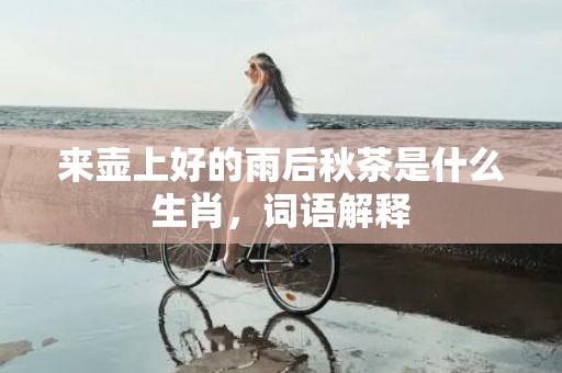 来壶上好的雨后秋茶是什么生肖，词语解释