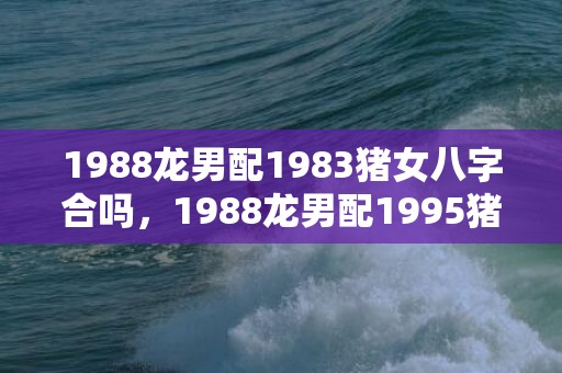 1988龙男配1983猪女八字合吗，1988龙男配1995猪女八字合吗