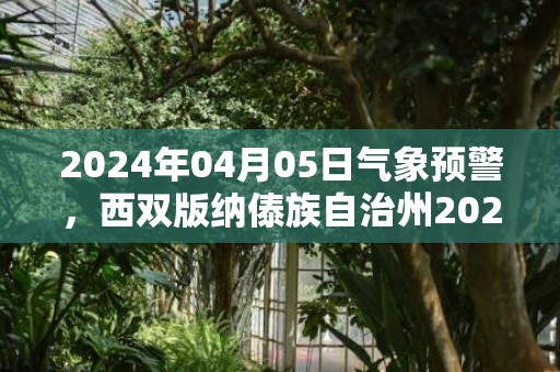 2024年04月05日气象预警，西双版纳傣族自治州2024/04/05星期五天气预报 大部晴