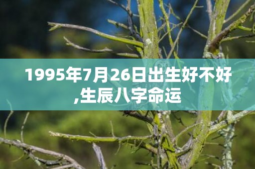 1995年7月26日出生好不好,生辰八字命运