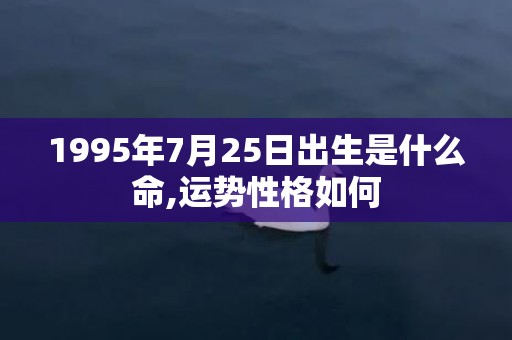 1995年7月25日出生是什么命,运势性格如何