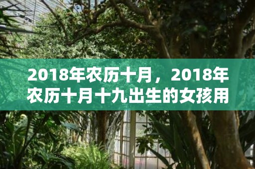 2018年农历十月，2018年农历十月十九出生的女孩用五行怎么取名？性格如何？