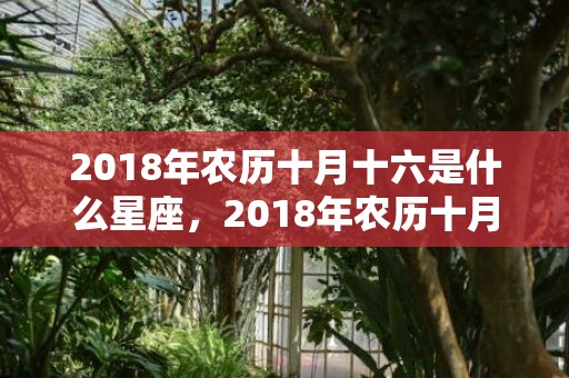 2018年农历十月十六是什么星座，2018年农历十月十六日出生的女孩名字，女宝宝五行起名