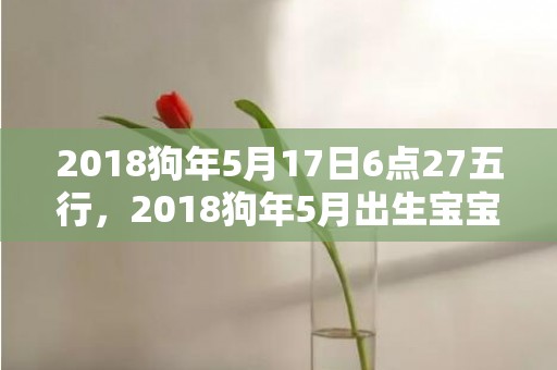 2018狗年5月17日6点27五行，2018狗年5月出生宝宝取名，狗宝宝5月五行起名