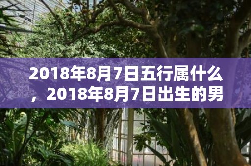 2018年8月7日五行属什么，2018年8月7日出生的男宝宝怎么取名？命好不好？