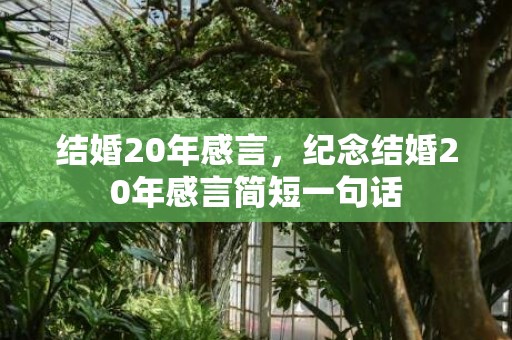 结婚20年感言，纪念结婚20年感言简短一句话